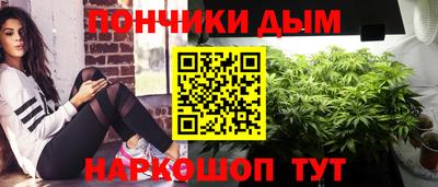 индика Нальчик